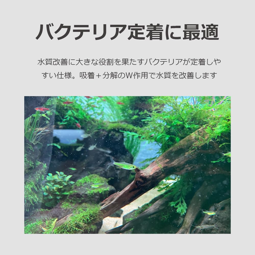 Amazon.co.jp: lifactlab. ろ材 濾過材 水槽用 水質改良 バクテリア